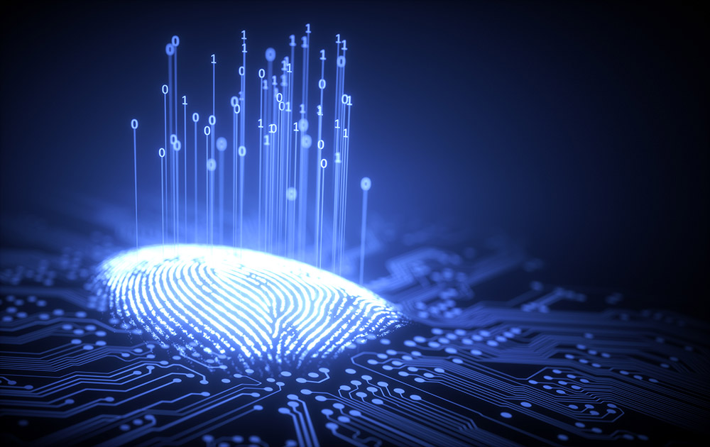 tecnologia-da-informacao