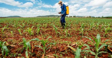 contratação de empregados no campo