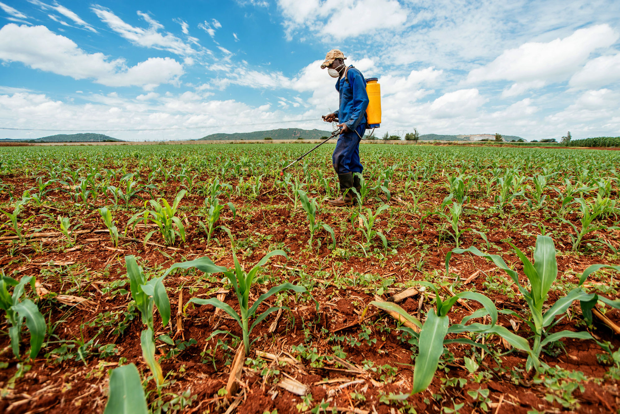 contratação de empregados no campo